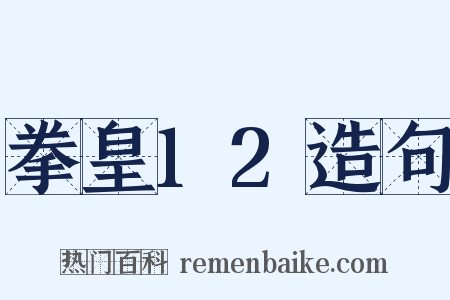 拳皇12造句是什么意思的图片